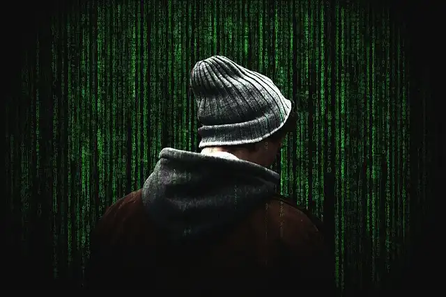 Cybersecurity for SMBs: Protection, Innovation, and Growth