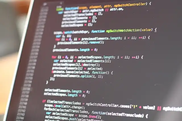 Coding Skills: Languages, Tools, and Training