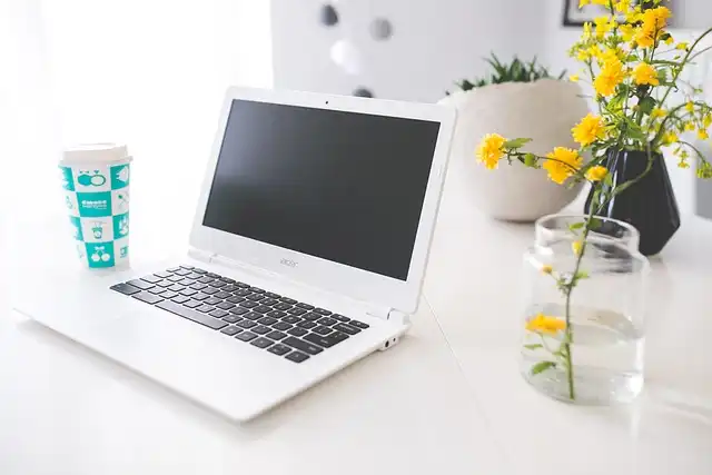 Best Laptops Under $500: Chromebook vs Windows