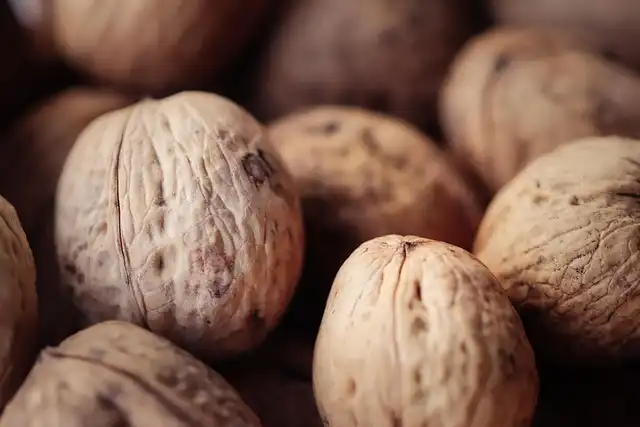 On-Premise AI with Macs: Data Privacy and Remote Access